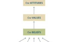 The process of Attitude Formation