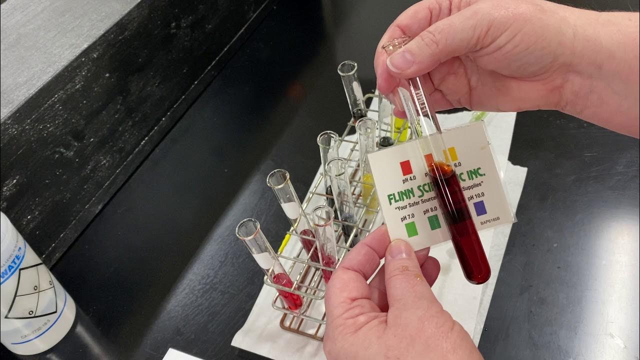 pH of Household Chemicals Lab YouTube