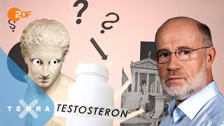Testosteron: Dein geheimer Superkraftstoff! | Leschs Kosmos | Harald Lesch by Terra X Lesch & Co 298,495 views 3 weeks ago 28 minutes