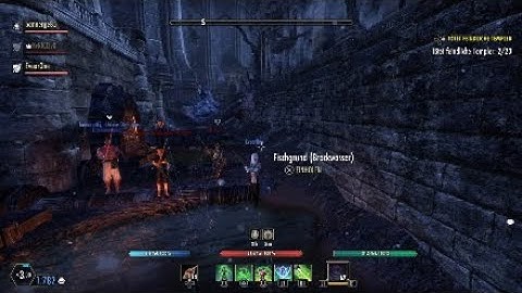 STAMINA WARDEN 1VX| 1 TOWER 17 KILLS - Elsweyr