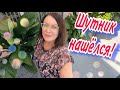 ДАНИЕЛ ОБМАНУЛ МЕНЯ🔴ШУТНИК🔴НАЧИНАЕМ КРУПНЫЙ ПРОЕКТ