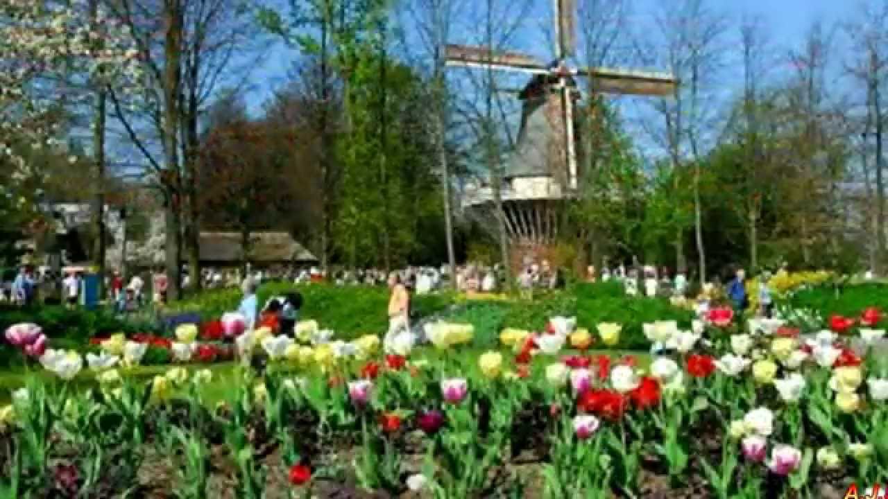 Herman Emmink   Tulpen uit Amsterdam