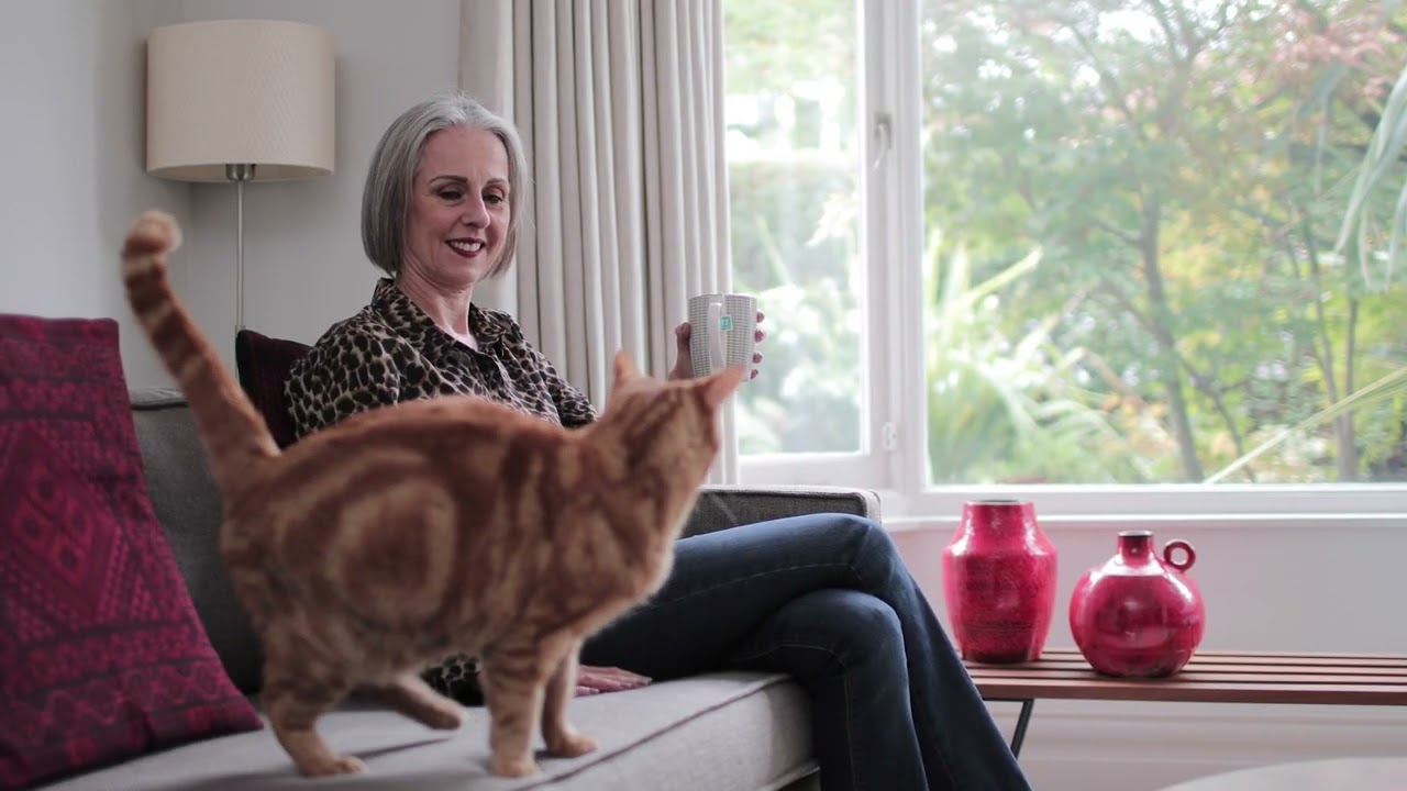 speakeraggio Commercial English