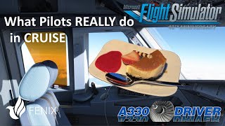 Let's talk for real: What do Pilots REALLY do during cruise? | Real Airbus Pilot Profile