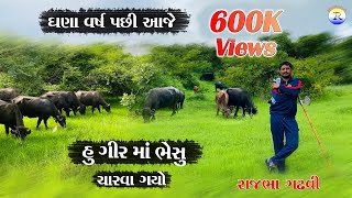 Rajbha Gadhvi || Ghana varsh pachi hu aaje gir ma bhesu charva gayo || Gir ni moj