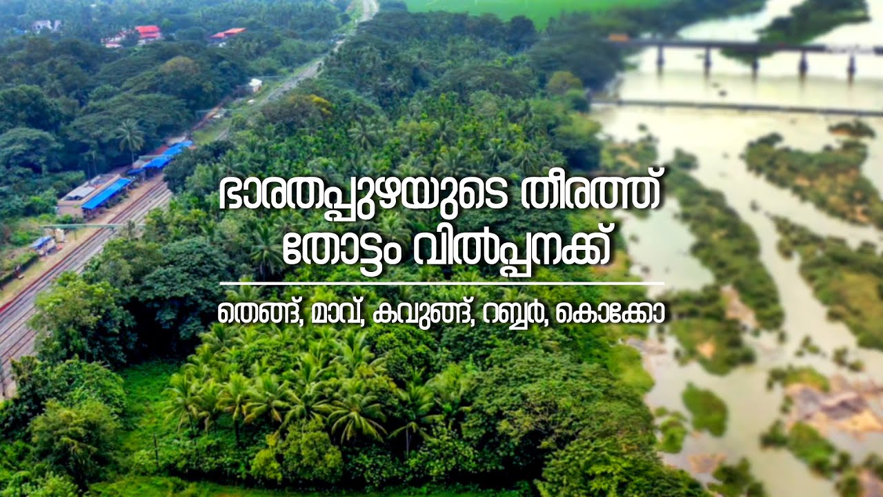 ഭാരതപുഴയുടെ തീരത്ത് 14 ഏക്കർ തോട്ടം വില്പനയ്ക്ക് | Farmland for Sale | Popular Santhosh