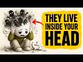 How Narcissists Colonize Your Mind to Survive Emotional Vacuity