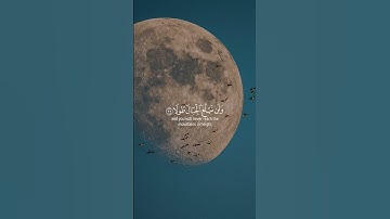 اسمع أجمل تلاوة بصوت الشيخ إسلام صبحي🤍🌿 |#قرآن #اسلام_صبحي #تلاوة #قران_كريم #quran