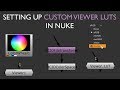 Setting up Custom Viewer LUTS in Nuke (Alexa Example)