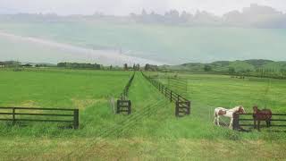 Horserail® Fencing Waikato Area