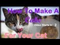 How to make a cake for your cat or spotted genet