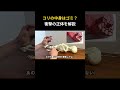 コリの中身は…？