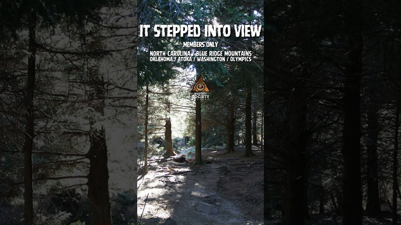 She walked two hours off trail… and realized she wasn’t alone