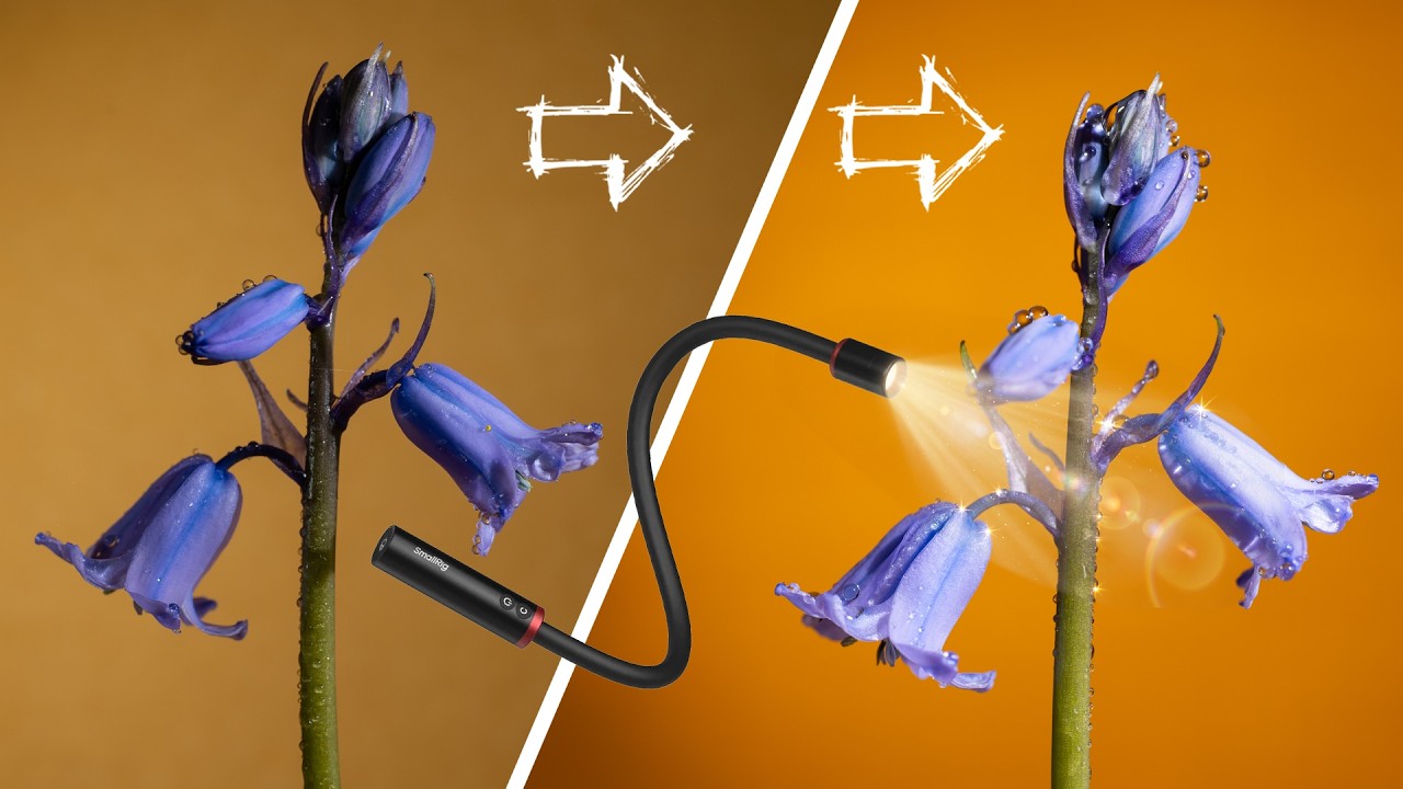 Using LED Lights for Macro Photography (Flowers & Insects)