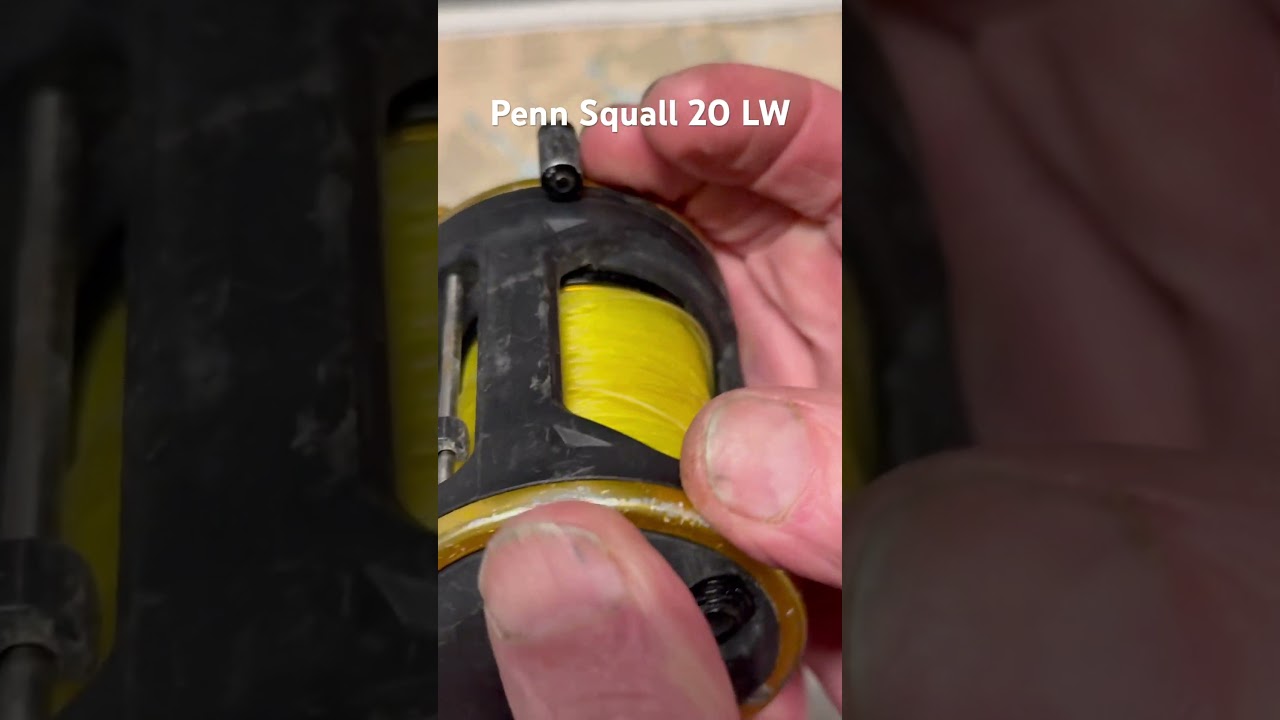 Penn Squall 20LW fishing reel for the day - YouTube