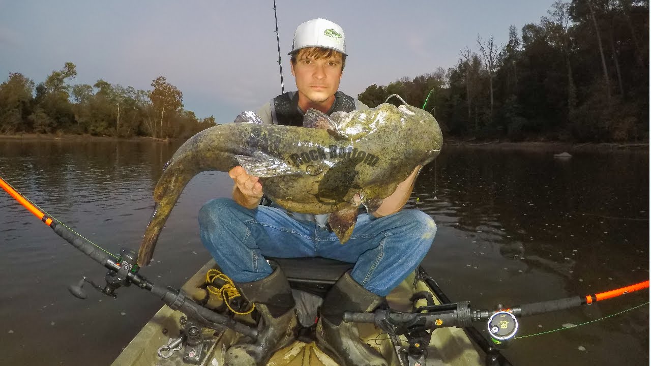 Fishing for Flathead Catfish — River Certified Fishing, Kayak