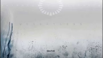 Animals as leaders - An infinite regression