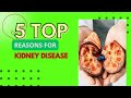 Is the Keto Diet Damaging your Kidneys? Find Out Now!