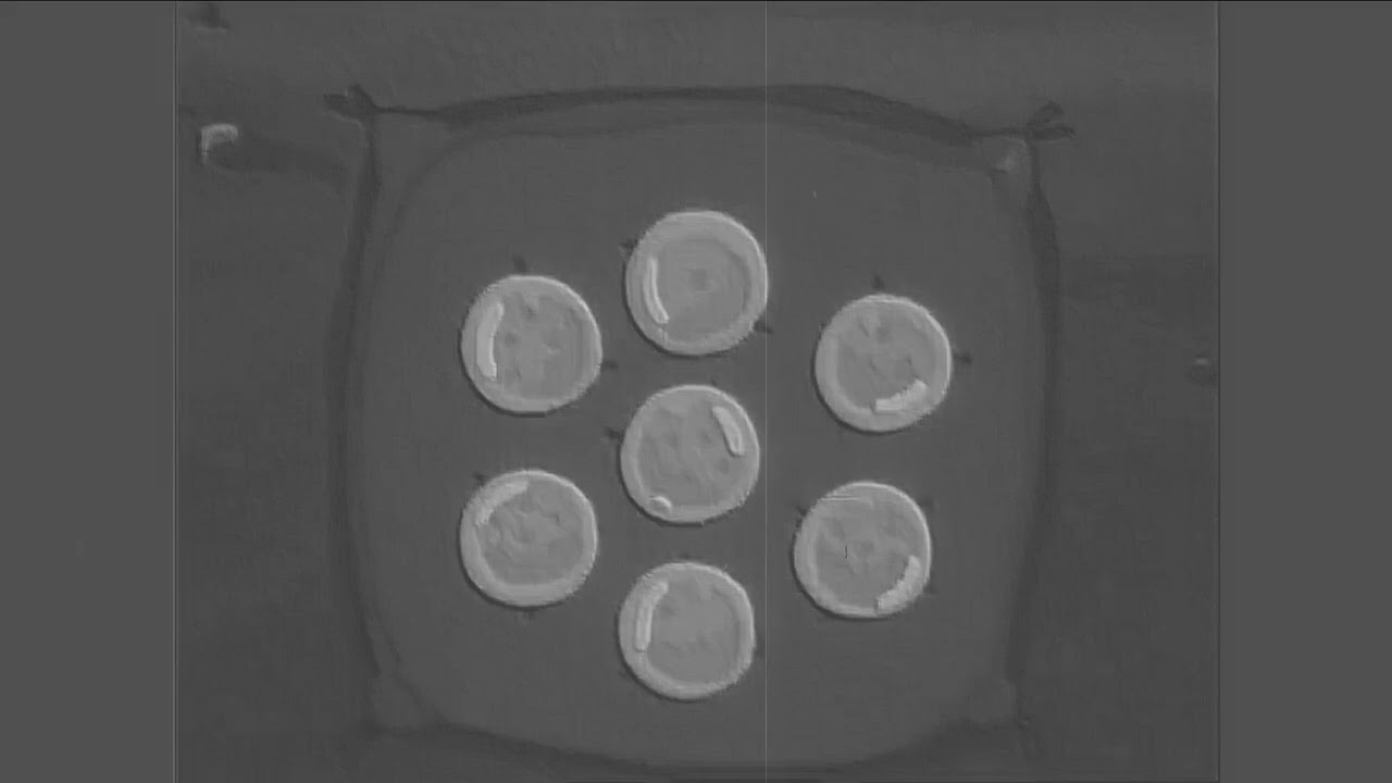 Miracle - Freestyle Boom Bap type Beat