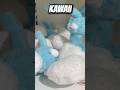ESTOS NUEVOS PELUCHES DE POKÉMON SON LOS MÁS ADORABLES QUE HE VISTO