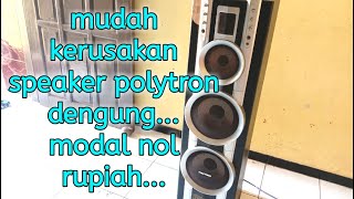 kerusakan speaker polytron dengung