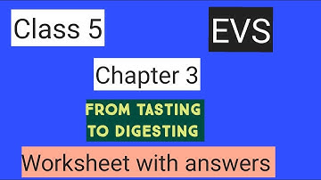 #studytime Class 5/EVS/Chapter 3/ From tasting to digestion/Worksheet with answers/KV/NCERT/CBSE