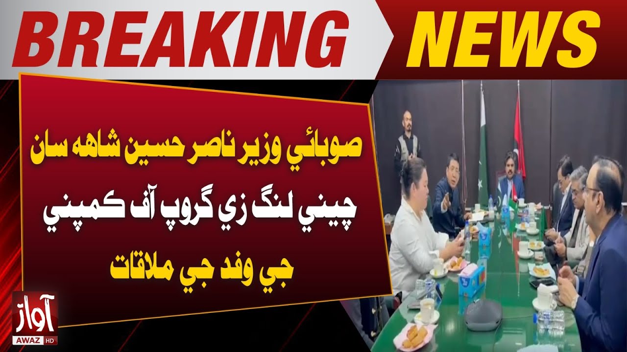 Provincial Minister Nasir Hussain Shah Meets Delegation of Chinese Lingzi Group of Companies | Awaz