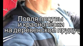 Ловля плотвы и краснопёрки на деревенском пруду.