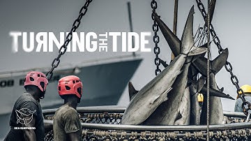 HET TIJDPERK - Trailer