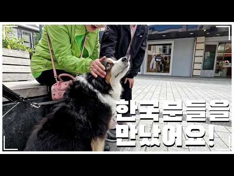 뉴질랜드에서 만난 한국 관광객들… 레나 보고 반응이 😍