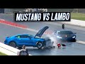 Mustang nearly TAKES OUT Lamborghini, 200mph Races, and MORE (TX2K23 Day 1)