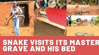 Baringo python SHOCK: residents of Baringo shocked as python appears after its master was buried