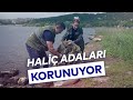 İBB, HALİÇ ADALARINDA BİYOÇEŞİTLİLİĞİ KORUYOR