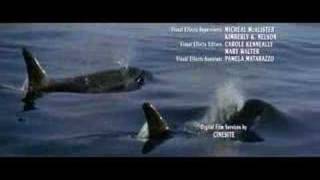 Video thumbnail of "The Pretenders - Forever Young (Free Willy 2 Soundtrack)"