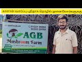 Mushroom cultivation for new entrepreneurs!!காளான் வளர்ப்பு புதிதாக தொழில் முனைவோர்களுக்கு.....