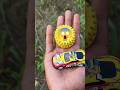 car and eraser tyres were found on the farm #shorts #viral #experiment