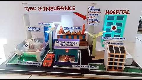 types of insurance #scinceproject #b.ed chart and working model #commerce model