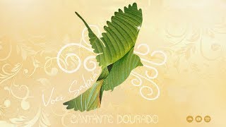 Video thumbnail of "Voei Sabiá | Cantante Dourado (Áudio Oficial)"