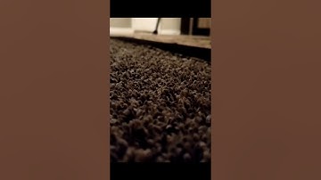 Carpet Scratching #notalkingasmr #asmr #asmrscratching #relax #carpetscratching #satisfyingsounds