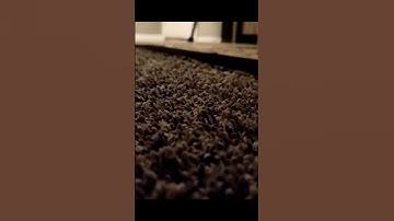 Carpet Scratching #notalkingasmr #asmr #asmrscratching #relax #carpetscratching #satisfyingsounds