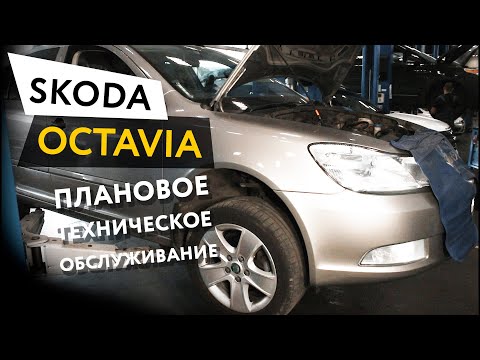 Плановое техническое обслуживание автомобиля Skoda Octavia 1,8 TSI