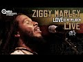 Ziggy Marley - Love is My Religion FULL HD CONCERT
