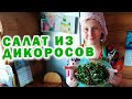 Сделала полезный салат из дикоросов. Нарвала полезных трав и нарезала для семьи витаминный салат. ПП