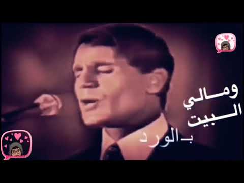 حليم زي الهوى حالات واتس اب
