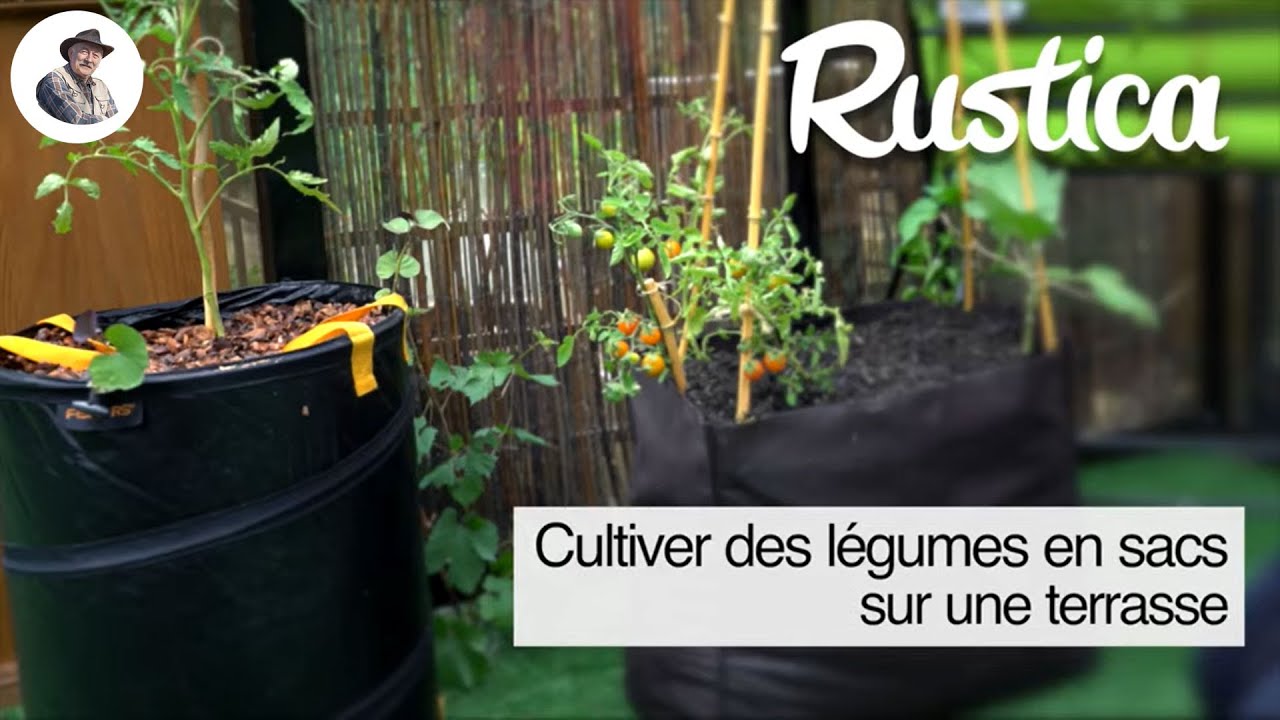 Un mini potager en sacs sur une terrasse