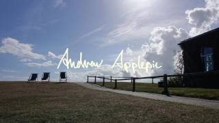 Andrew Applepie - I Need A Break