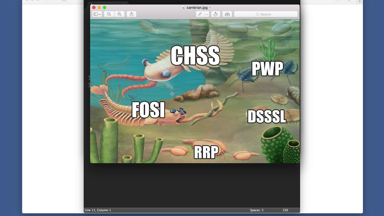 Section 1.2: “CSS overview and history” from Learn Enough CSS & Layout