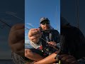@ZManFishingProducts New Lure! #fishing #shortvideo #shorts #short @Jessewrightfishing