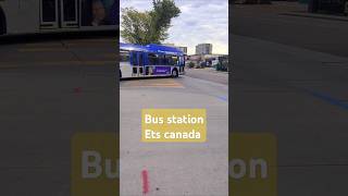 Bis Telolet Ets Yeg Edmonton Public Transportation Blue Bus