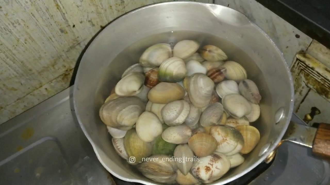 Catching Oyster from seashore and making gravy Doha Qatar YouTube
